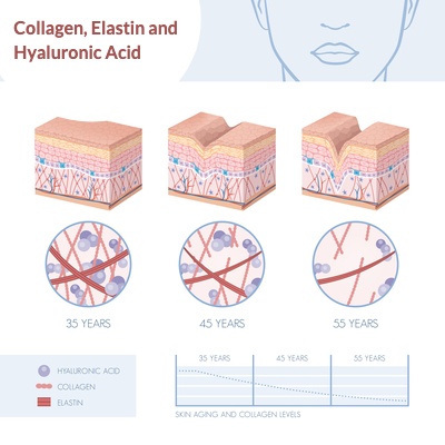 What is Collagen and what does it do? (part I)